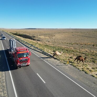 photo_5_2024-01-31_13-24-26